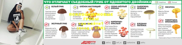 а пвп мука Алзамай