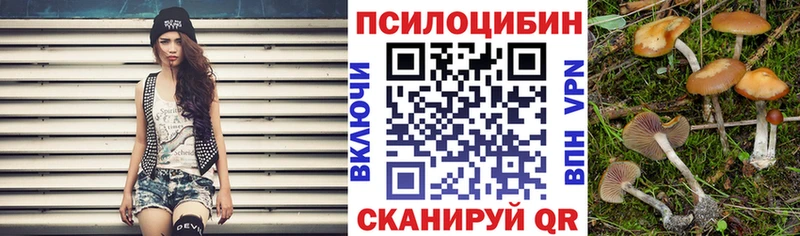 Псилоцибиновые грибы Magic Shrooms Александровск-Сахалинский