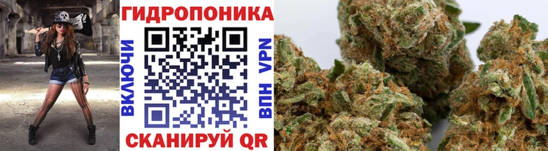 мега сайт  Александровск-Сахалинский  Шишки марихуана OG Kush 